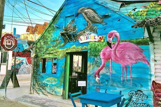 Holbox Punta Mosquitos + Transportation from Riviera Maya - Who Is This Tour Best For?