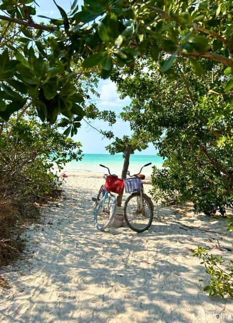 Holbox Self-Guided Tour: Map, Bike, SUP, Coffee & Snack incl - Introduction: Why a Self-Guided Tour Could Be Your Best Choice in Holbox