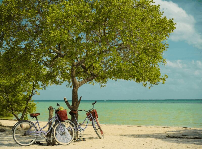Holbox Self-Guided Tour: Map, Bike, SUP, Coffee & Snack incl - Whats Included and Why It Matters