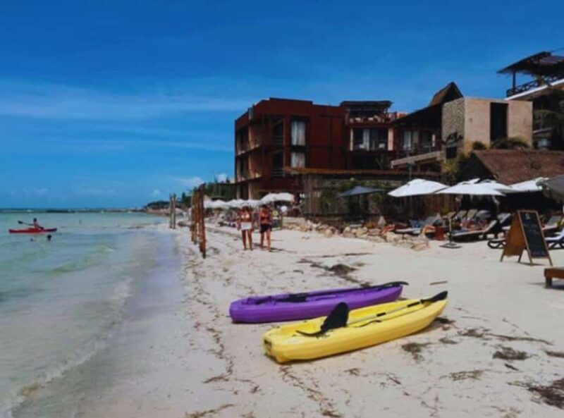 Holbox Self-Guided Tour: Map, Bike, SUP, Coffee & Snack incl - Who Should Consider This Tour