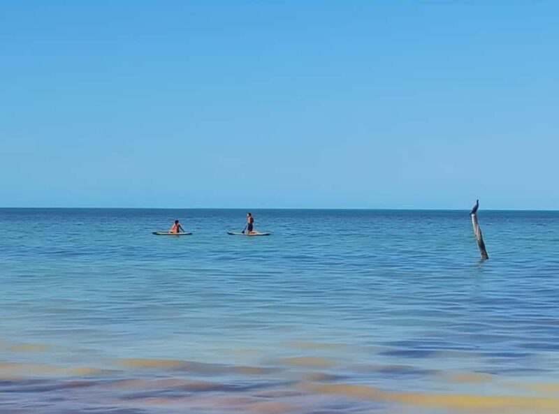 Holbox Self-Guided Tour: Map, Bike, SUP, Coffee & Snack incl - FAQ