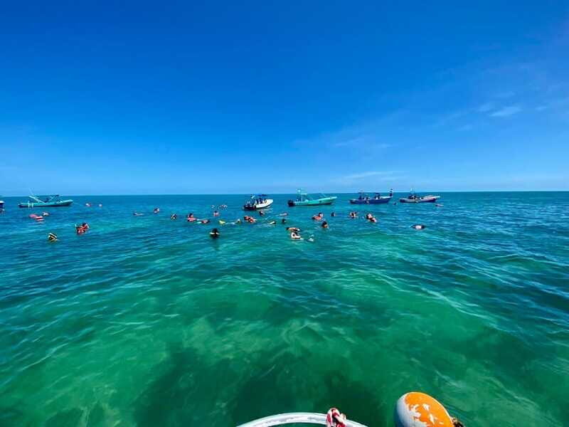 Holbox: Snorkeling, Fishing, and Ceviche Tour - Who Is This Tour Best For?