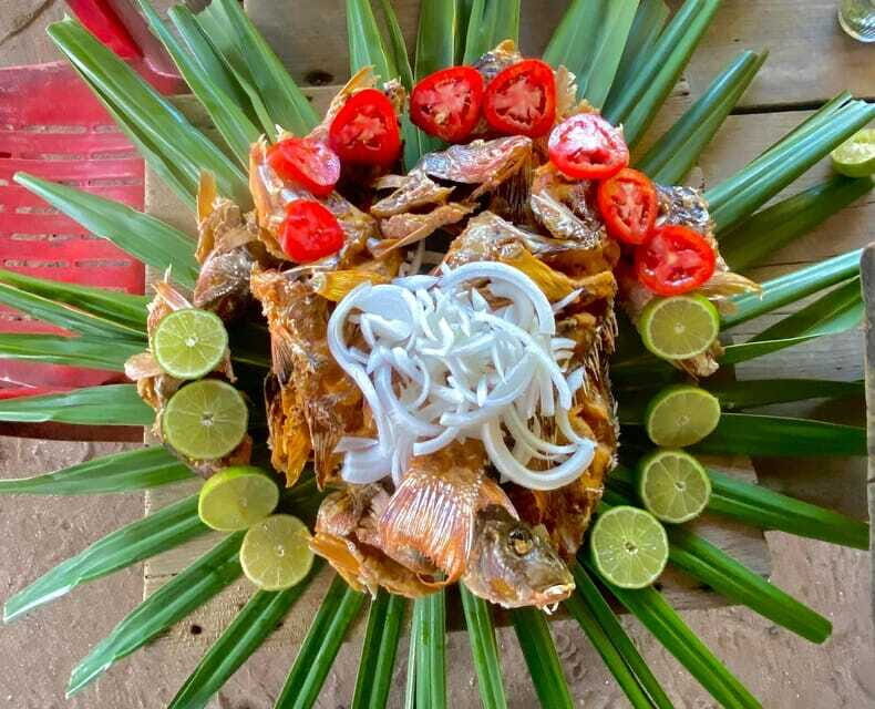 Holbox: Snorkeling, Fishing, and Ceviche Tour - FAQ