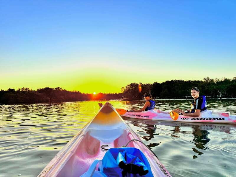 Holbox: Sunrise & Mangrove Kayak Tour - Introduction