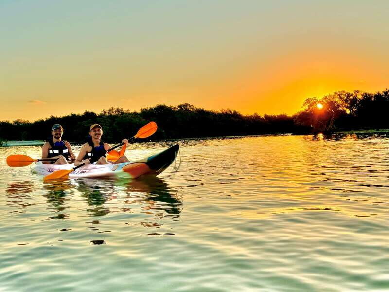 Holbox: Sunrise & Mangrove Kayak Tour - Exploring the Wildlife and Ecosystems