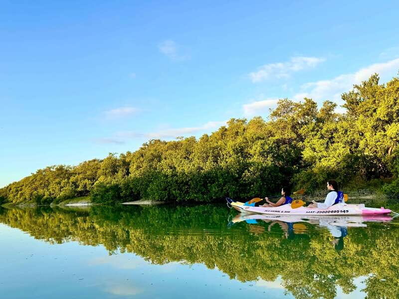 Holbox: Sunrise & Mangrove Kayak Tour - The Rest Stop and Learning Opportunities