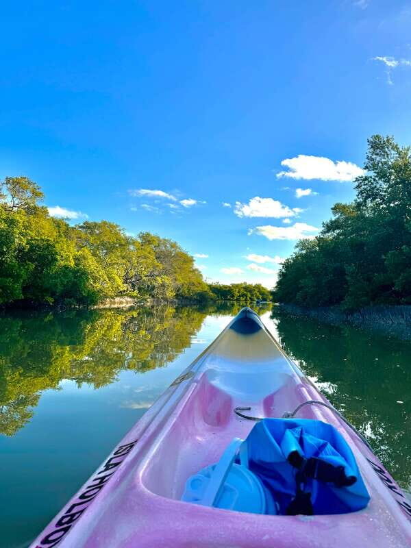 Holbox: Sunrise & Mangrove Kayak Tour - Who Will Love This Tour?