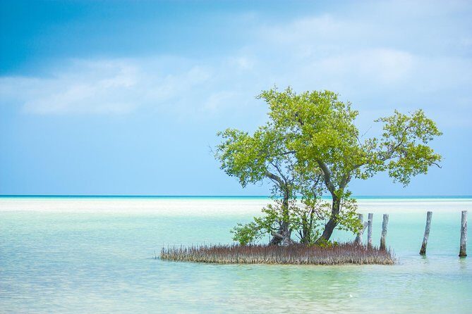 Holbox tour from Cancun and Riviera Maya - The Overall Value