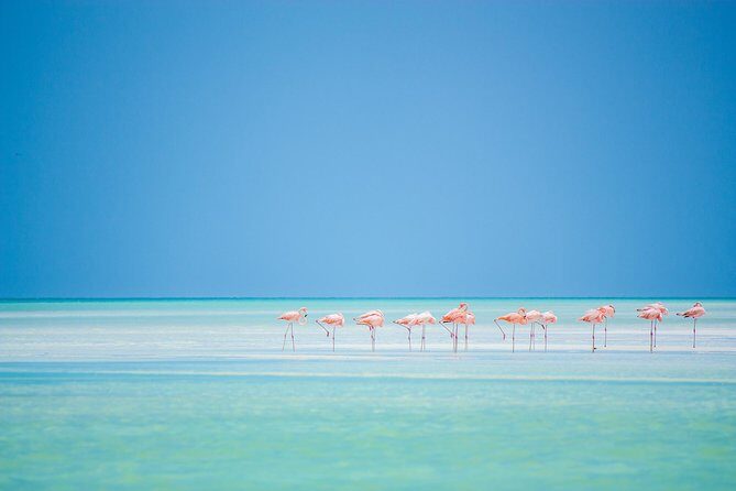Holbox tour from Cancun and Riviera Maya - The Sum Up: Is the Holbox Tour from Cancun Worth It?