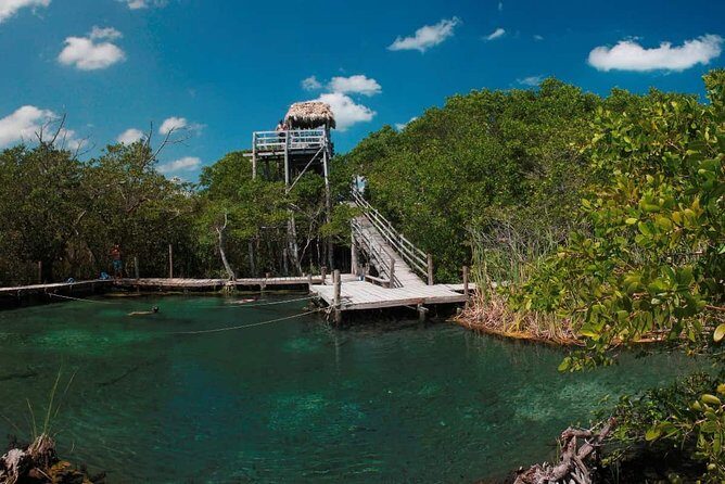 Holbox Tour - Island & Cenote from Cancun and Playa del Carmen - What to Expect from the Itinerary