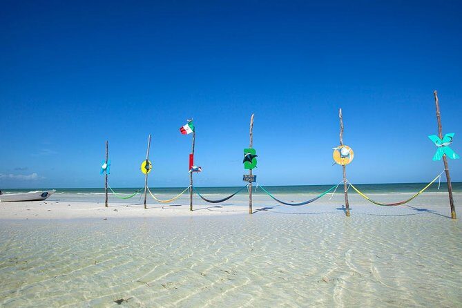 Holbox Tour - Island & Cenote from Cancun and Playa del Carmen - Is It Good Value?