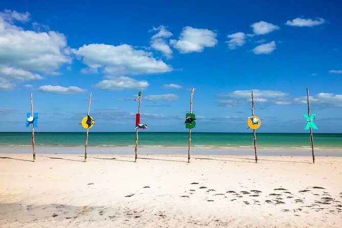 Holbox Tour! Nature Adventure from Cancun & Playa Del Carmen - Introduction: Who Is This Tour For?