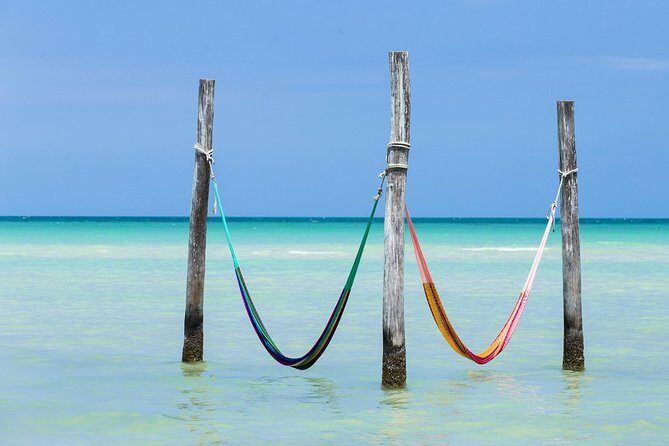 Holbox Tour! Nature Adventure from Cancun & Playa Del Carmen - Transportation & Timing