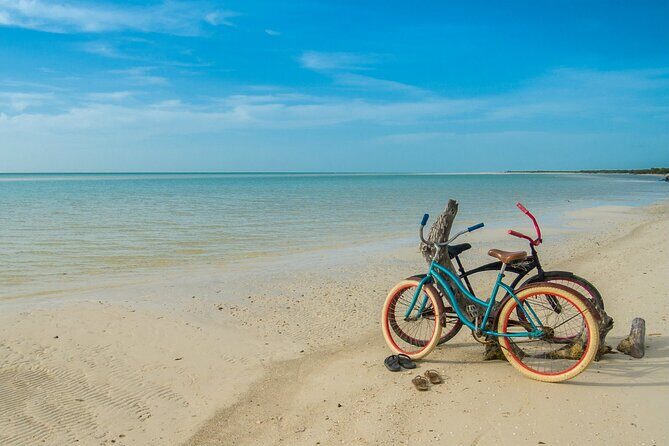 Holbox Tour! Nature Adventure from Cancun & Playa Del Carmen - What Travelers Say (Based on Available Reviews)