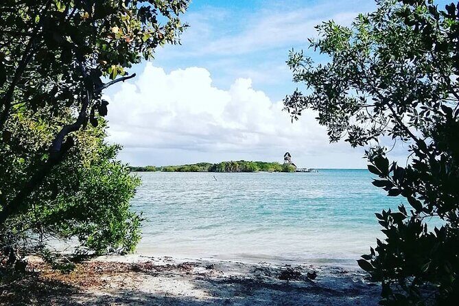 Holbox Tour! Nature Adventure from Cancun & Playa Del Carmen - Practical Tips for Participants