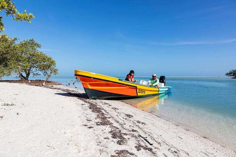 Holbox: Yalahau, Passion Island and Punta Mosquito Boat Tour - Additional Considerations and Tips