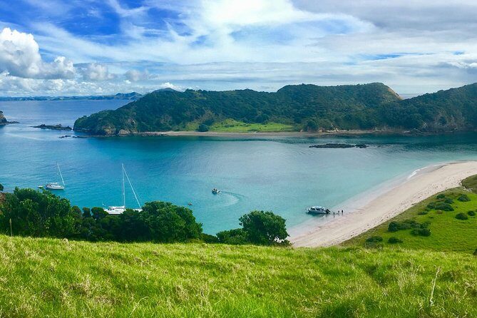 Hole in the Rock Cruise & Island Tour - with two island stopovers - Second Island Stop: Urupukapuka or Alternatives