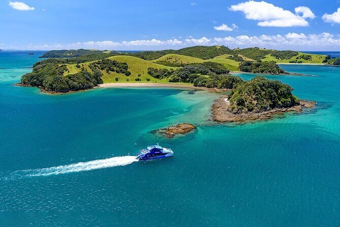 Hole in the Rock Dolphin Cruise Tour Round Trip from Auckland - Introduction
