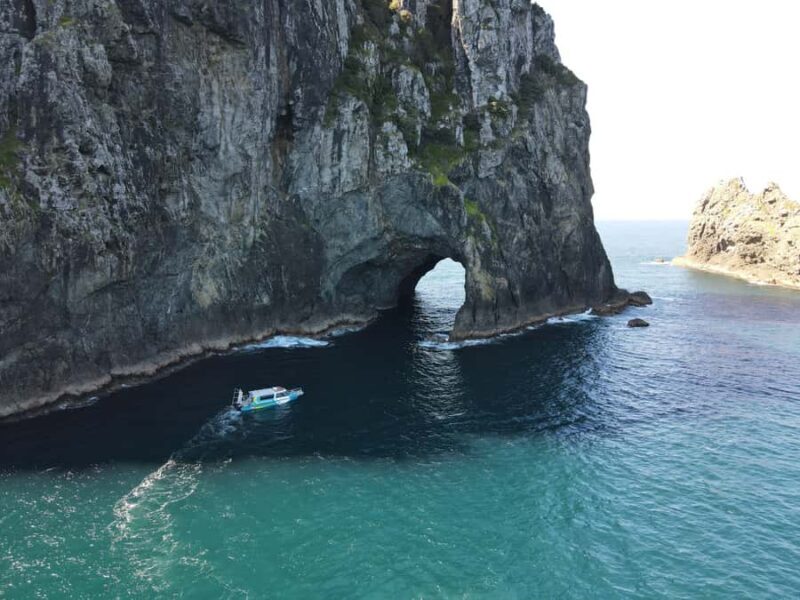 Hole in the Rock Tour & Bay of Islands Cruise - Key Points