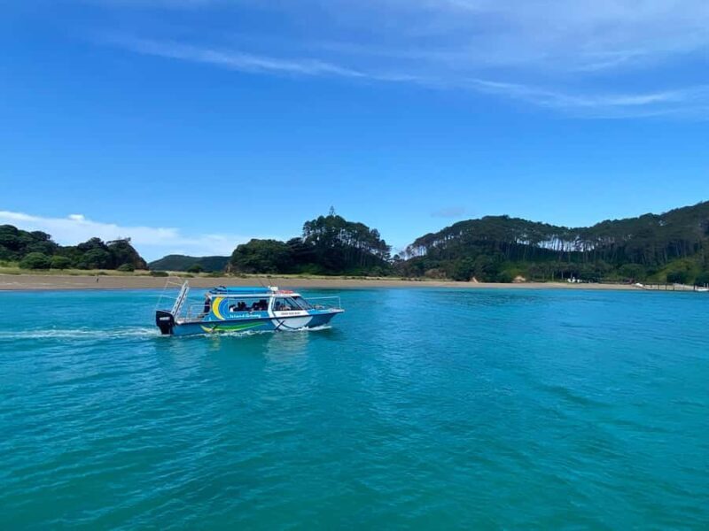 Hole in the Rock Tour & Bay of Islands Cruise - Who Should Consider This Tour?