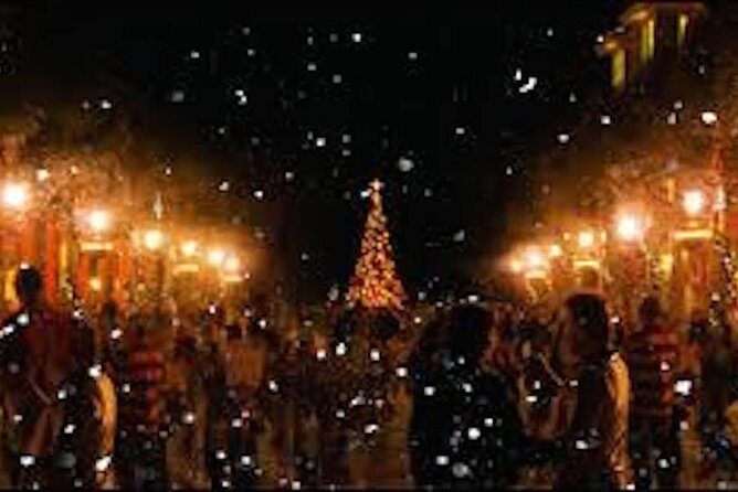 Holiday Celebration Tour: Ice Slides and Life-Sized Gingerbread Houses - FAQ