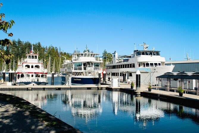 Holiday Festive Dinner and Dance Cruise Tour in Vancouver - A Deep Dive into the Experience