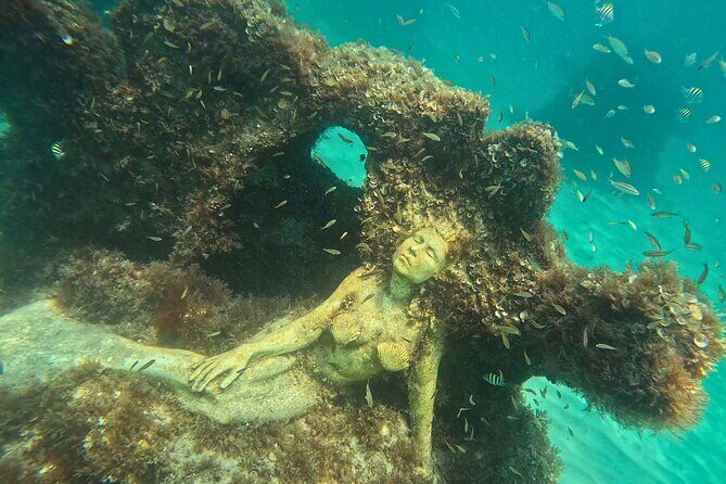 Hollywood Snorkel, Kayak & Paddleboard with Reefs and Sculptures - The Experience in Detail