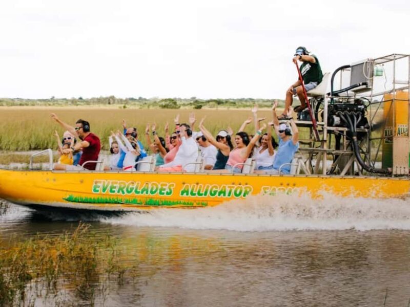 Homestead: Everglades Alligator Farm Entry and Airboat Ride - The Experience in Detail