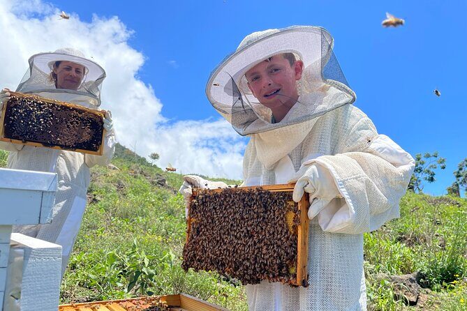 Honey Bee Adventure at the Maui Honey Bee Sanctuary - FAQ about the Maui Honey Bee Sanctuary Tour