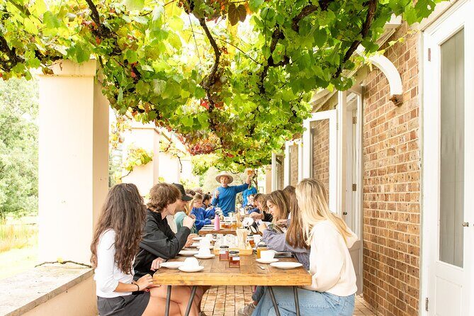 Honey Farm Tour. Morning Tea. Guided Tasting - Who Will Enjoy This?