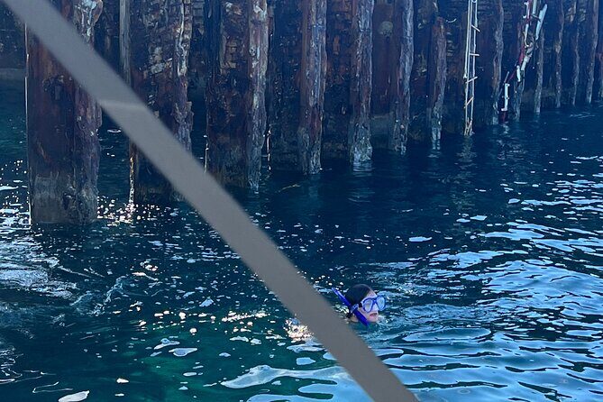 Honeymoon Harbour and The Sapona Day Trip - Practical Details and Considerations