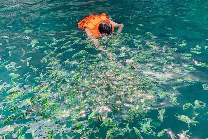 Hong island snorkeling tour from Koh Yao Noi & Koh Yao Yai - An Overview of the Hong Island Snorkeling Tour