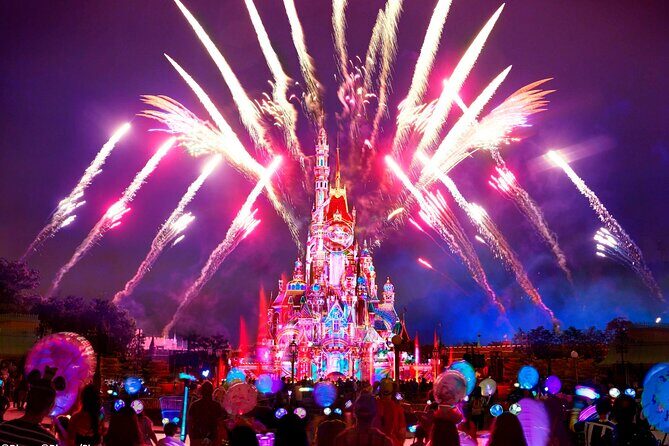 Hong Kong Disneyland Park Ticket - Who Should Consider This Tour?