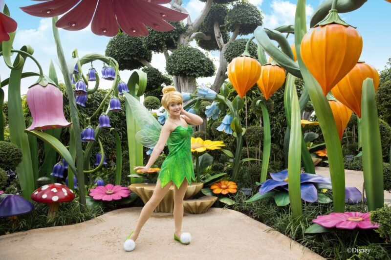 Hong Kong Disneyland Park Tickets - Value for Money