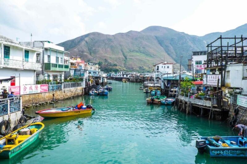 Hong Kong: Dolphin Cruise, Big Buddha, & Lantau Island Tour - Guides and Experience Quality