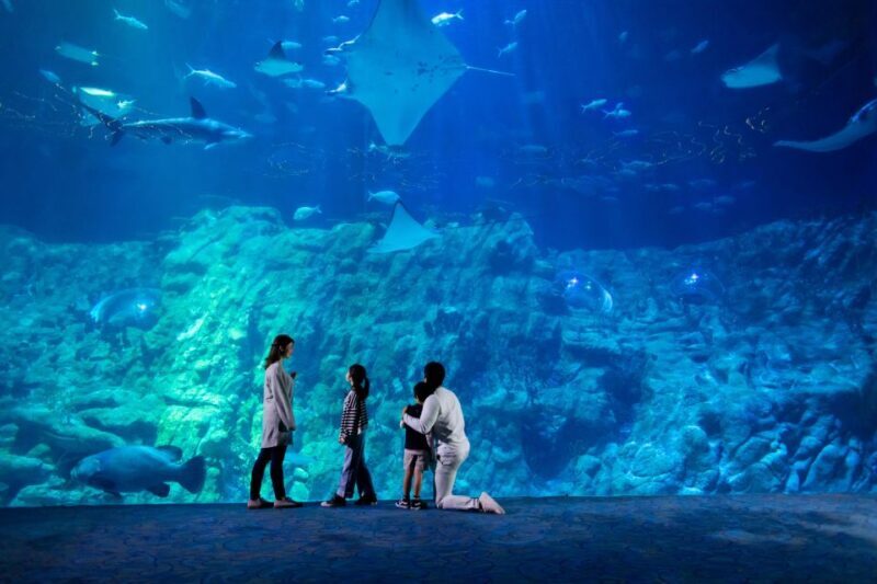 Hong Kong: Go City Explorer Pass - Choose 3 to 7 Attractions - FAQs