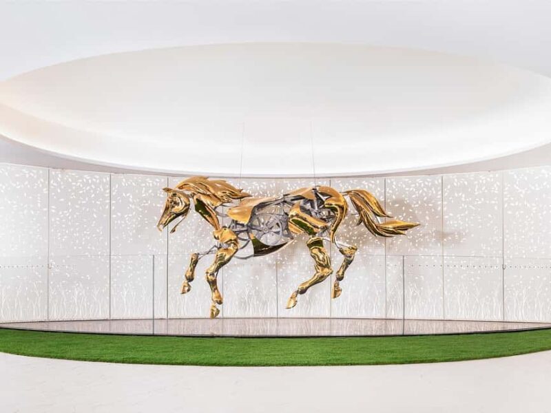 Hong Kong Jockey Club Racecourse Guided Tour with F&B - Key Points