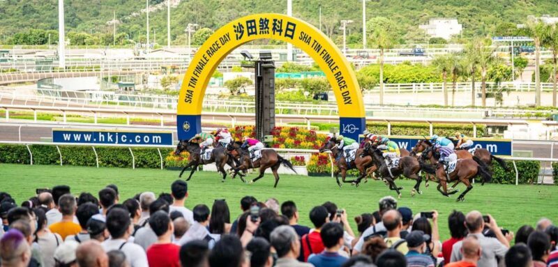 Hong Kong Jockey Club Racecourse Guided Tour with F&B - Sha Tin Racecourse: The Big Stage