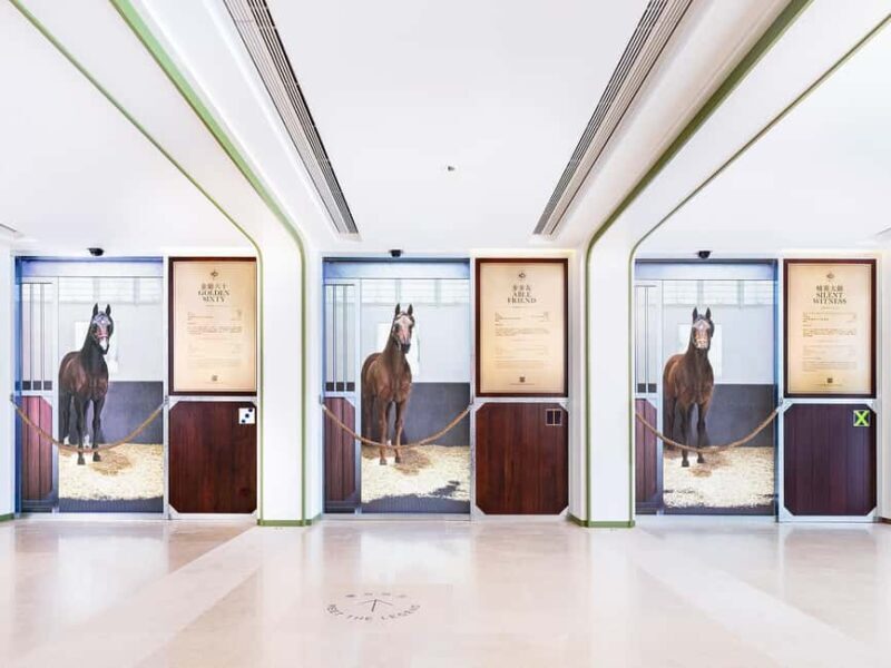 Hong Kong Jockey Club Racecourse Guided Tour with F&B - Practical Details and Logistics