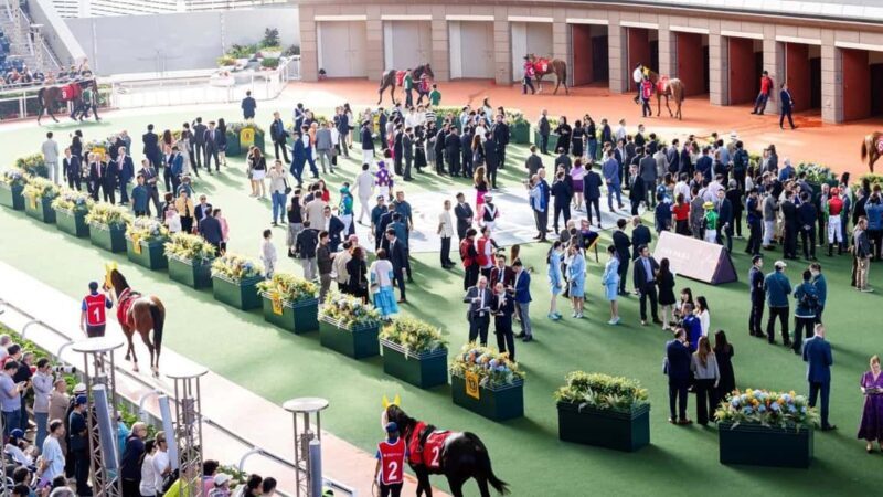 Hong Kong Jockey Club Racecourse Guided Tour with F&B - The Sum Up