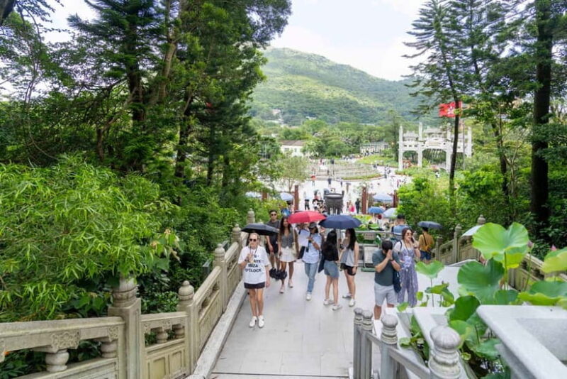 Hong Kong: Lantau VIP Priority Cable Car, Big Buddha & Tai O - A Full Breakdown of the Experience