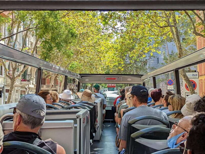 Hong Kong: Night Tour + Open Top Bus + Night Market - Practical Details and Considerations