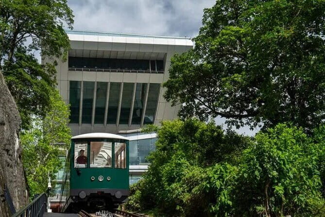 Hong Kong Peak Tram and Sky Terrace 428 Tickets (Optional) - What Travelers Say: Authentic Perspectives