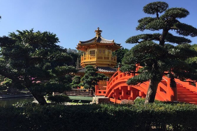 Hong Kong Private Tours by Locals: 100% Personalized, See the City Unscripted - Who Will Love This Tour?