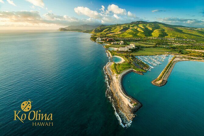 Honolulu Airport & Ko Olina Hotels Private Transfer by Minivan (up to 5 people) - Pricing & Value Analysis