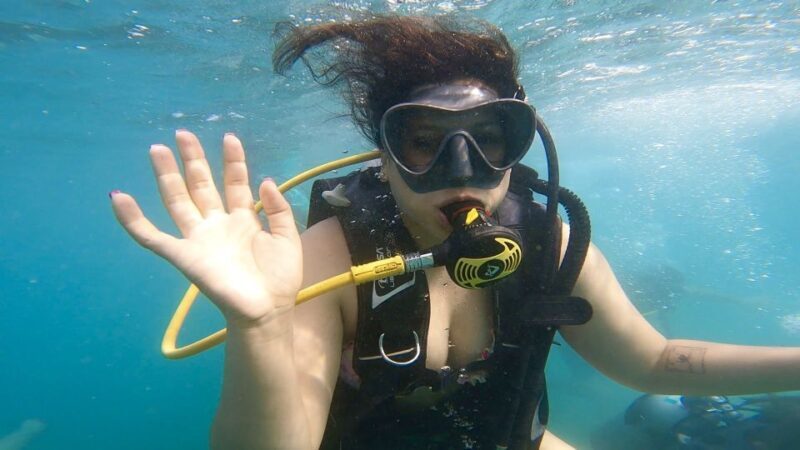 Honolulu: Beginner Scuba Diving Tour With Free Videos - Who Will Love This Tour?