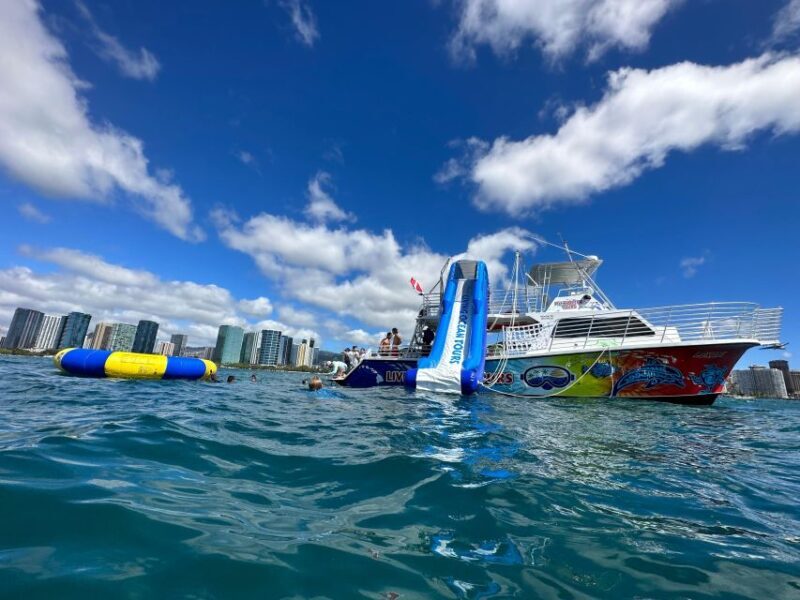 Honolulu: Deluxe Waikiki Snorkel and Wildlife Cruise - Who Should Consider This Tour?