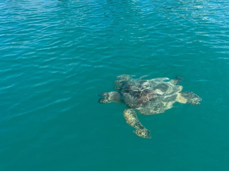 Honolulu: Intro to Stand-Up Paddling Class - A Closer Look at the Experience