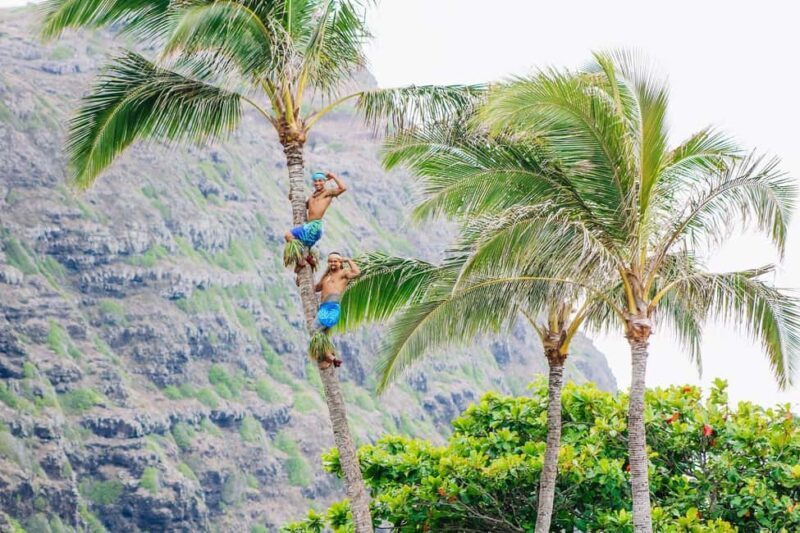 Honolulu: Ka Moana Luau Dinner and Show with Transportation - An In-Depth Look at the Ka Moana Luau Experience