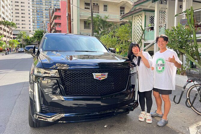 Honolulu Private transfer to Airport/Port/Hotel ( 1-5 Passenger) - Who is This Service Best For?